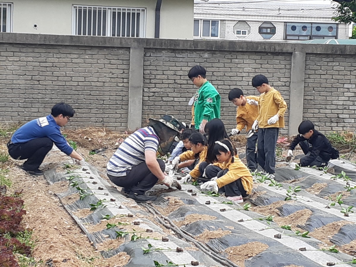전라남도강진교육지원청 > 글로컬 강진교육자치지구 > 농산어촌유학 > 강진유학생활 상세